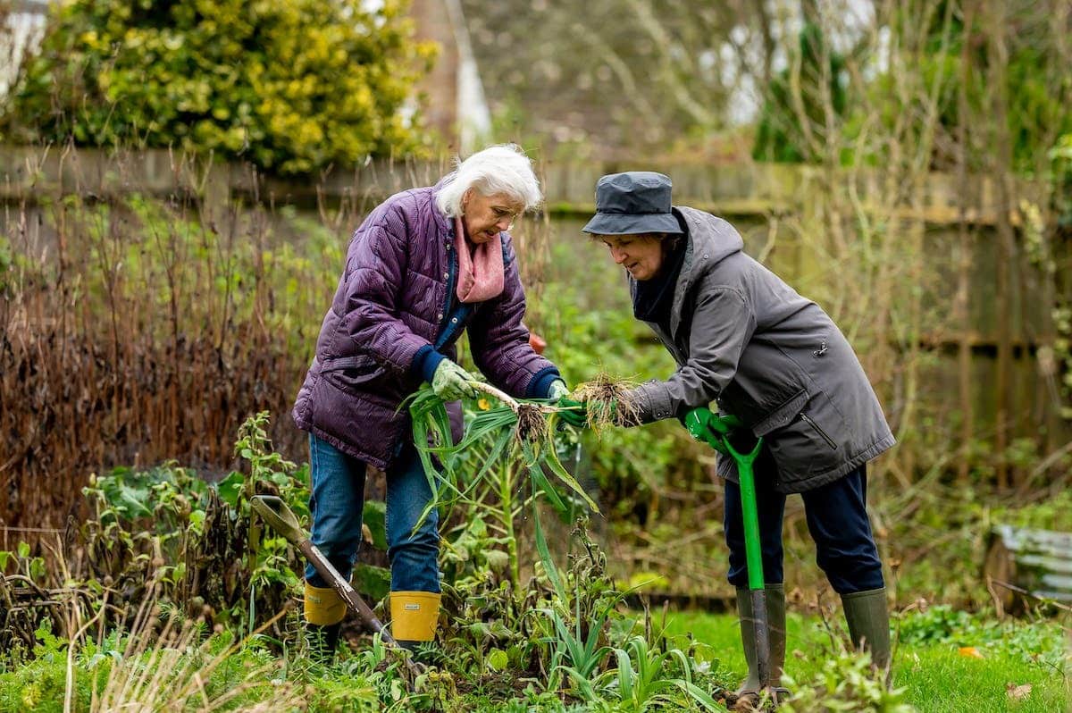 seniors jardinage